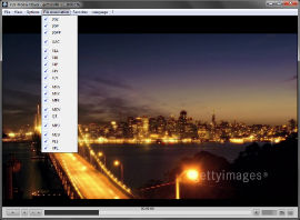 FLV-Media-Player - File Types Menu