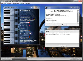 FLV-Media-Player - Update-Check