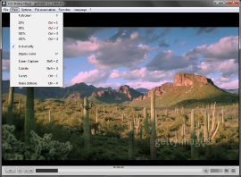 FLV-Media-Player - View Menu
