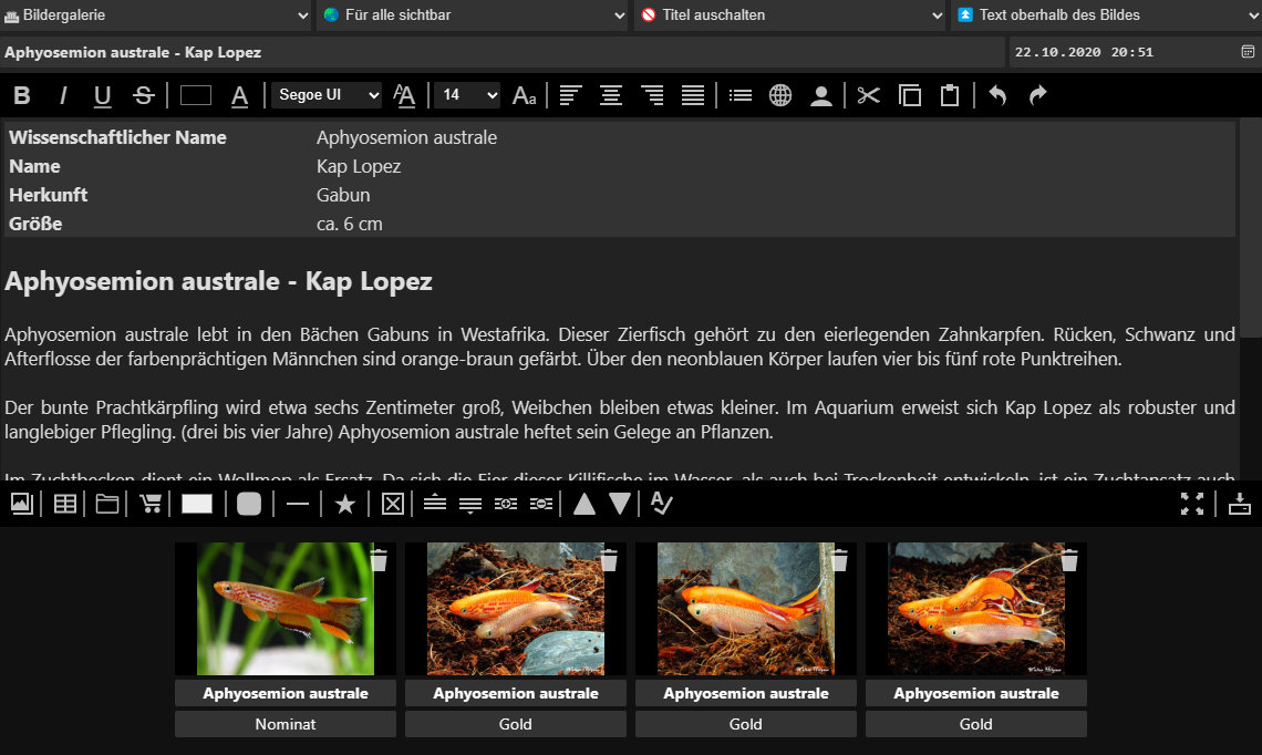 Textblock-Editor Textblock-Editor
